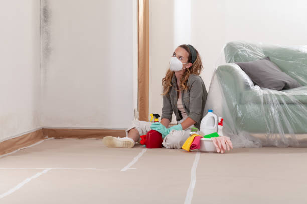 Reliable Mold Remediation contractor in East Lansing, MI by Cheap Mold Removal